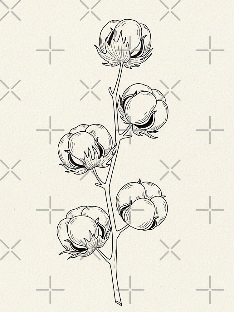 Minimalist Cotton Boll: Fine Line Botanical Illustration by TheDenimArt