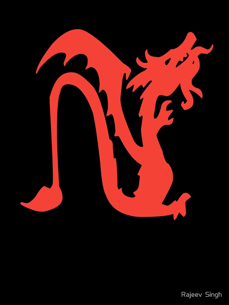 Dragon Initial Monogram N by Rajeev  Singh