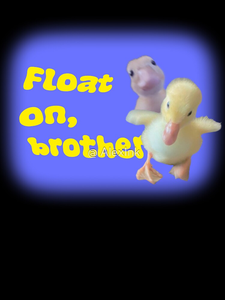 Float on brother. - Duck meme by @ AlexInk