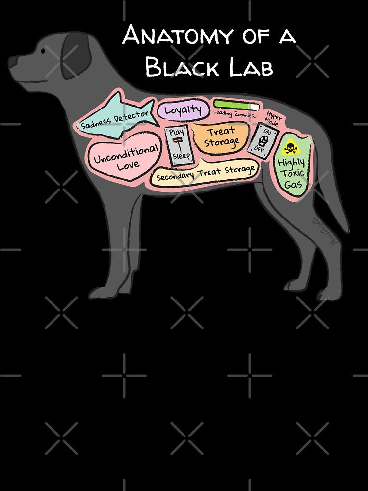 Anatomy of a Black Lab - Light Text by PemiDoodle