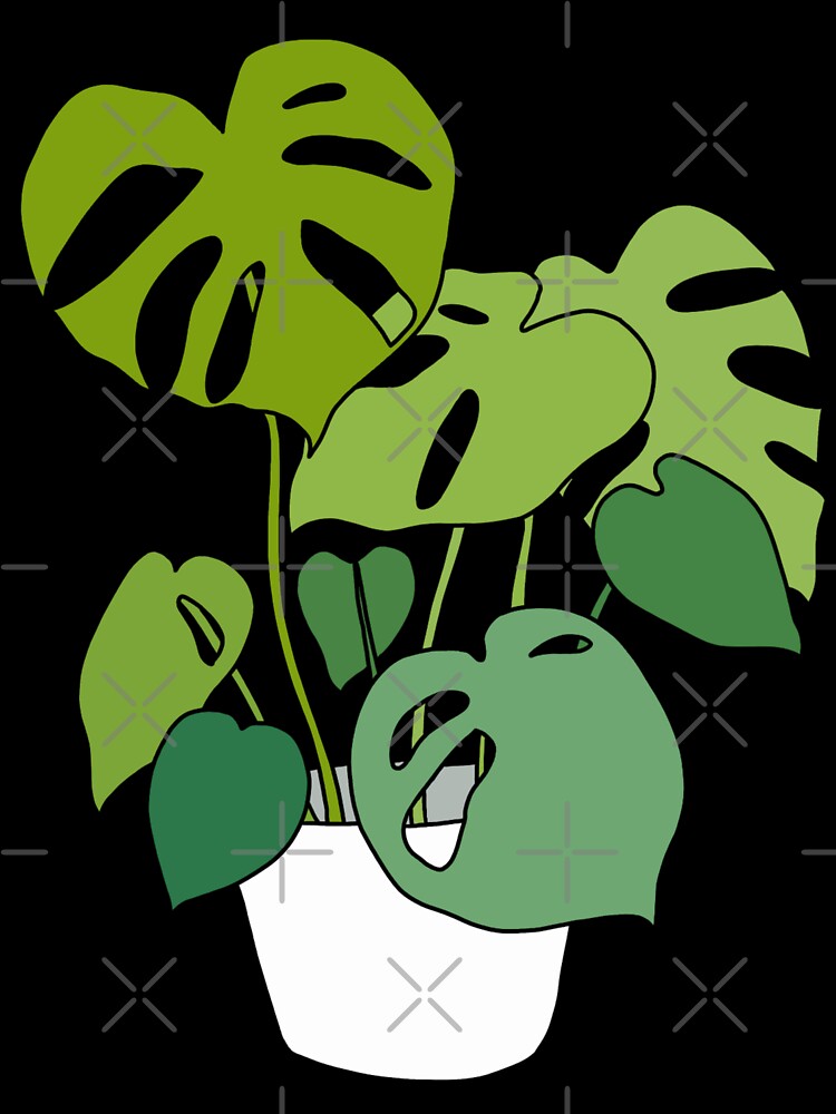 Monstera by Doctor Michaela