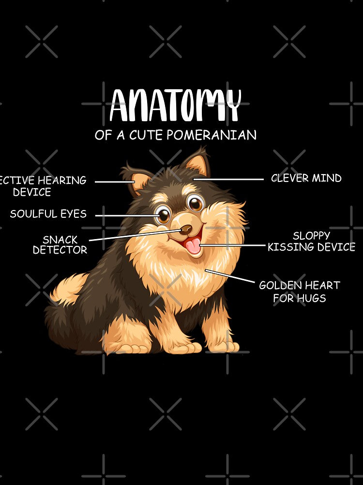 Anatomy of a cute pomeranian by reeda5