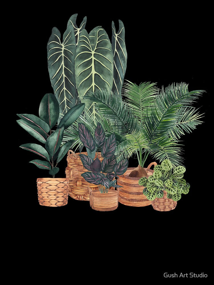 House Plants Illustration 10 by Ana Moguš