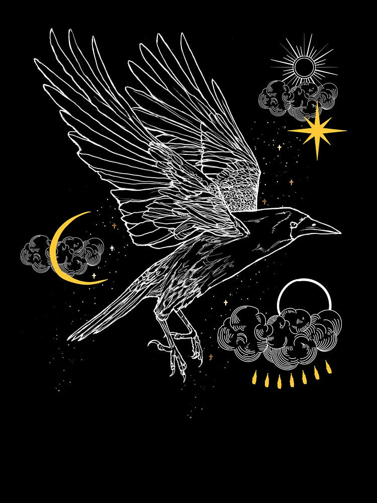 Magical Flying Crow by DarkstarDesign