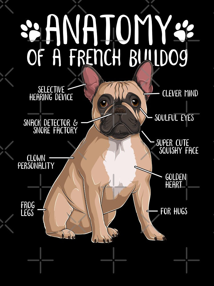 Funny French Bulldog Anatomy Fawn Frenchie Dog Lover by lanynx design