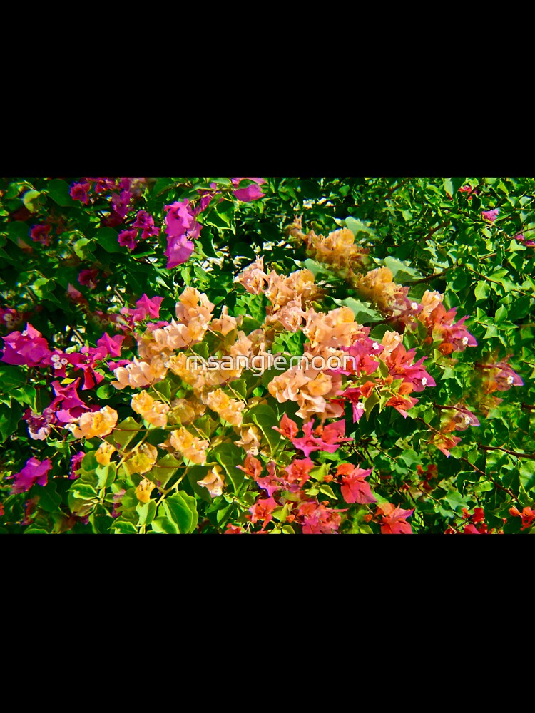 Psychedelic Flowers in Labadee, Haiti by msangiemoon