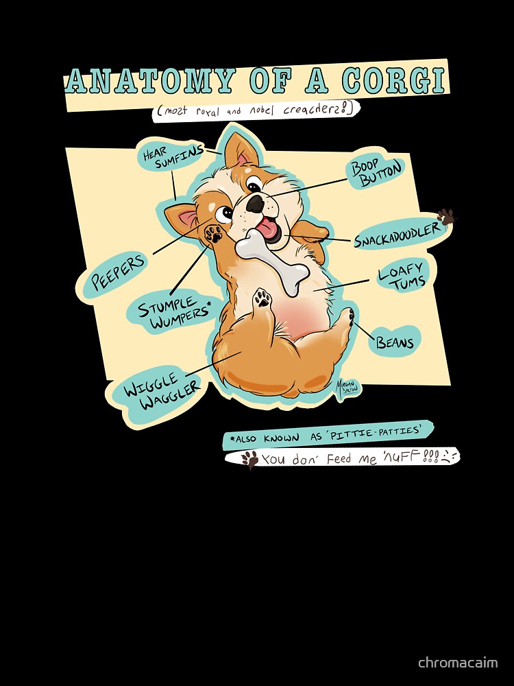 Anatomy of a Corgi by chromacaim