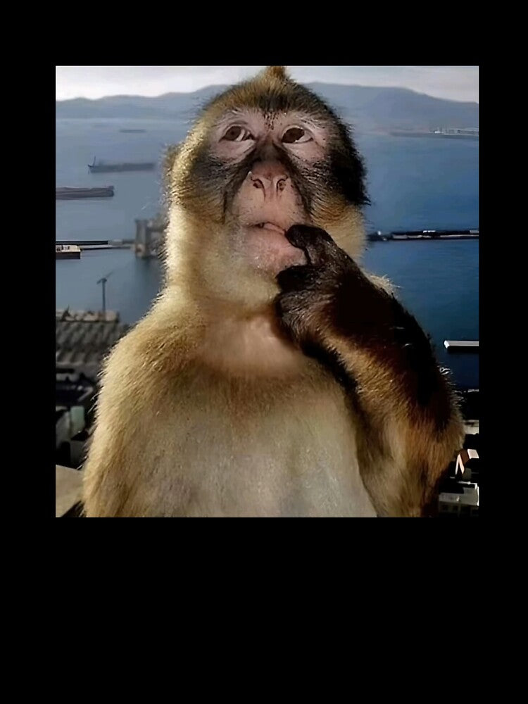 Thinking Monkey Meme Funny by studio-ssaam