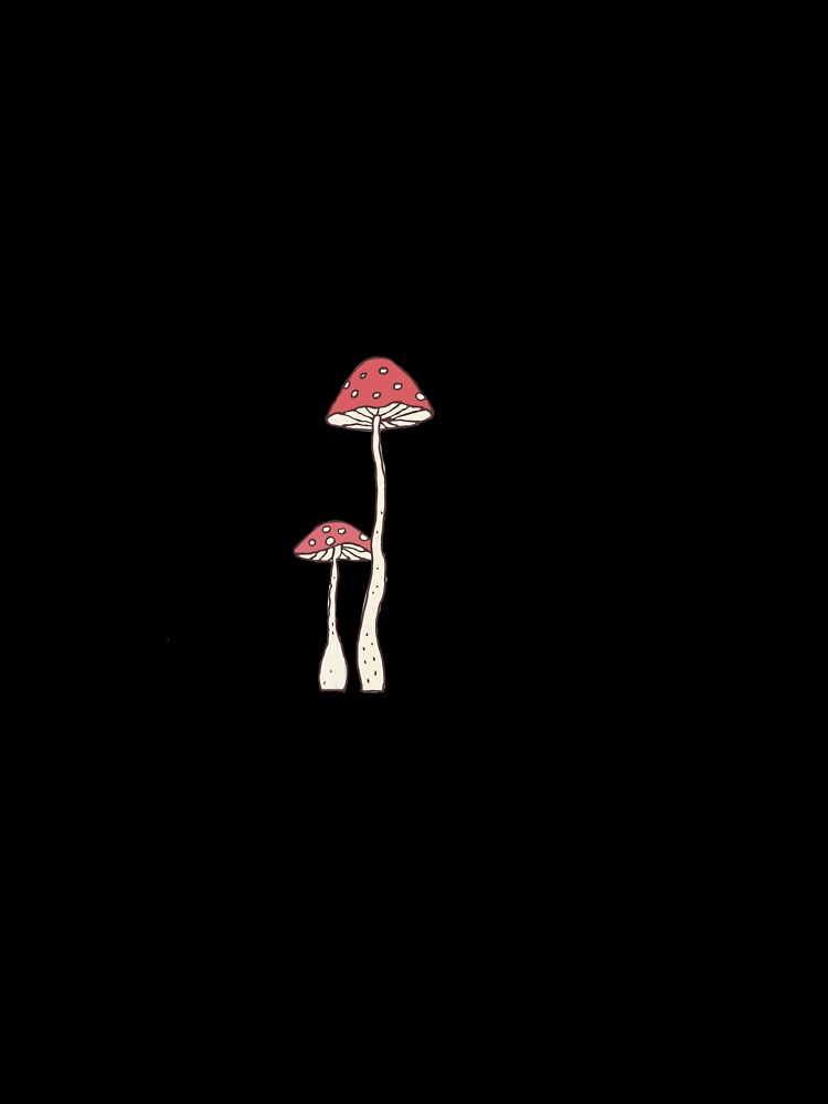 mushroom by Sidney Tsui