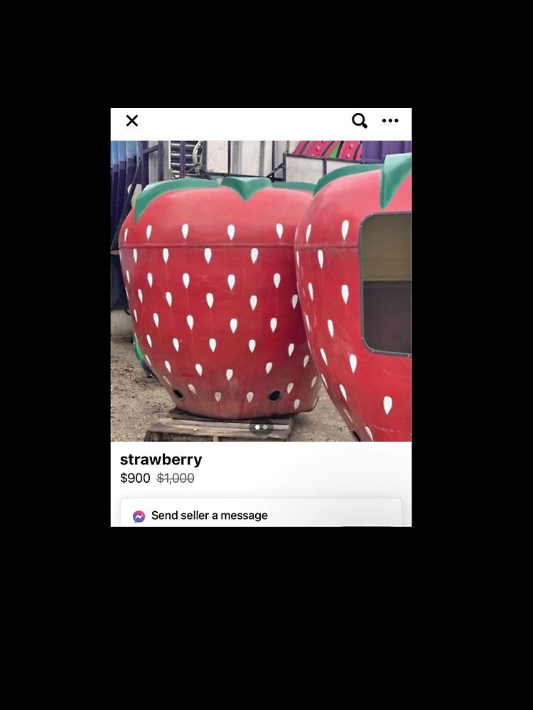 strawberry by oliviashirtaday