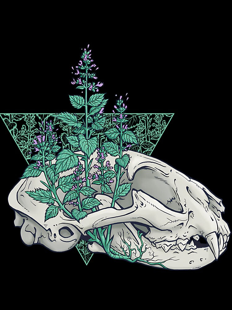 Gothic Cat Skull And Ferns Anatomy by xuxqhpbmr34