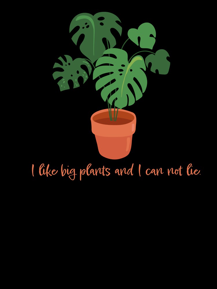I Like Big Plants and I Can Not Lie | Plant Mom | Orange | Monstera | House Plants | Plants | Plant Lady | Plant Lover | Gardener | Gardening | Plant on a Stool by ShoniwDesigns