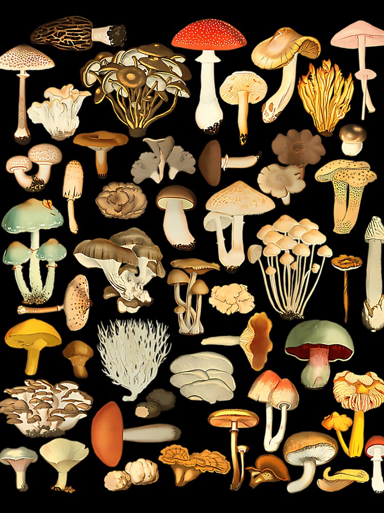 Mushroom Mycology Fungi Foraging Mushroom Whisperer by WADSWORTHSTUDIO