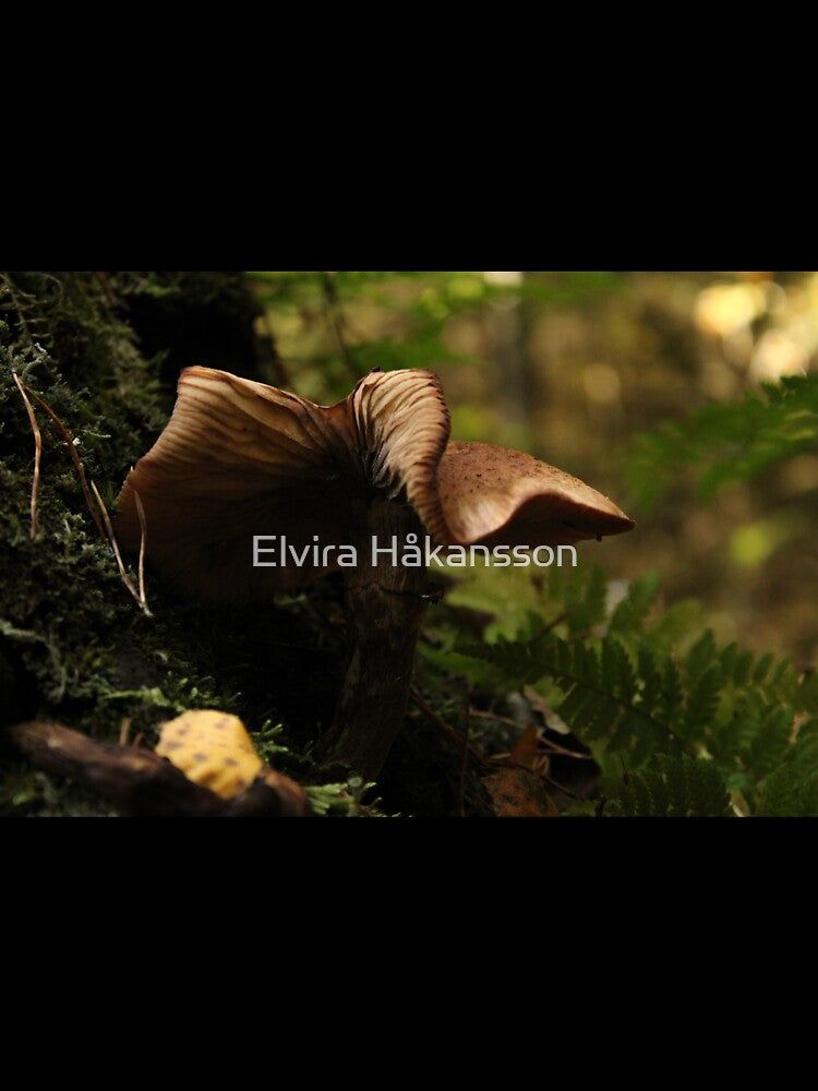Mushroom on a tree by elvirahphoto