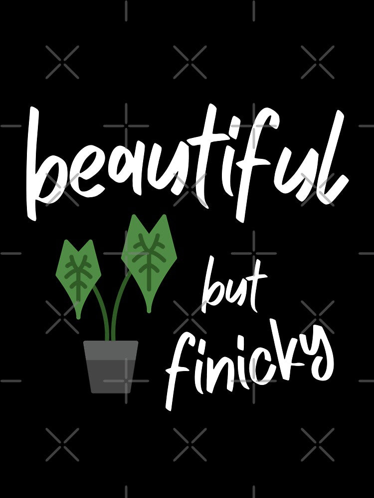 Alocasia: Beautiful but Finicky - Funny Houseplant Quote by ZlodziejkaKiwi