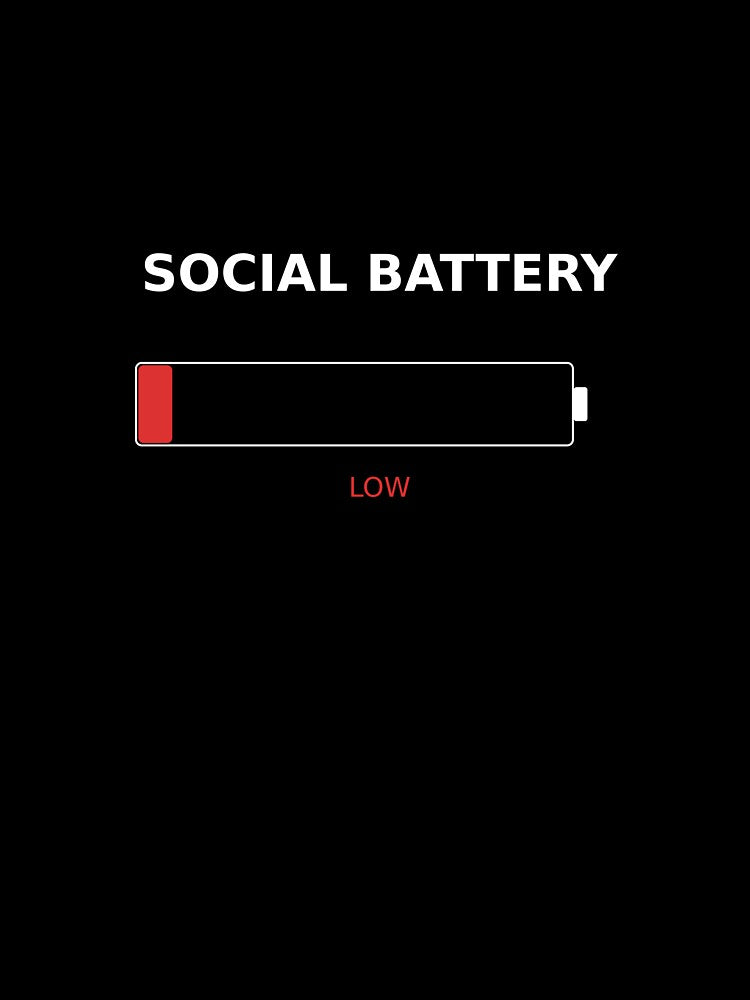 Social Battery Low Shirt | Introvert Tee | Funny Antisocial Gift | Social Anxiety Humor | Homebody by LithsMisc