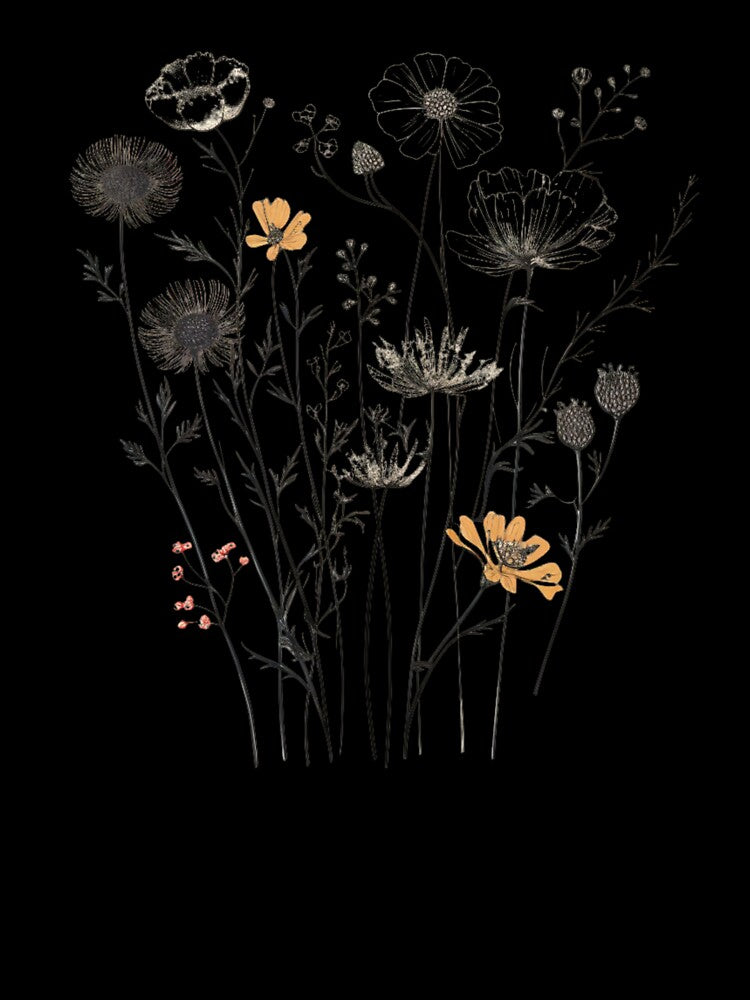 Wildflowers by LadyDelay