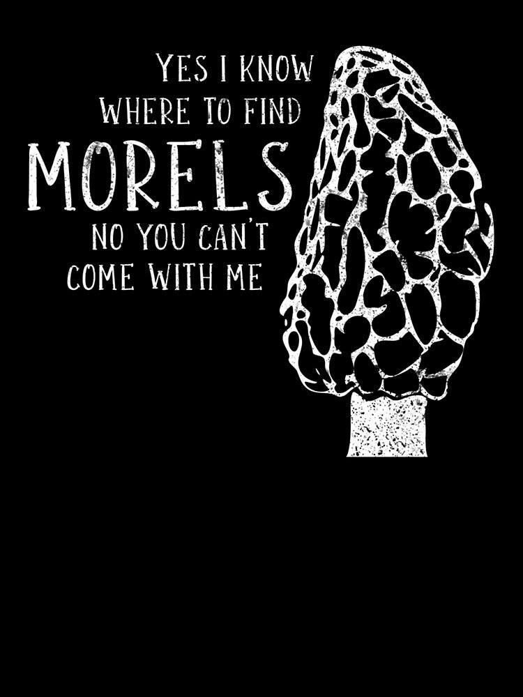 Know Where To Find Morels Mushrooms Hunting by taaddison50