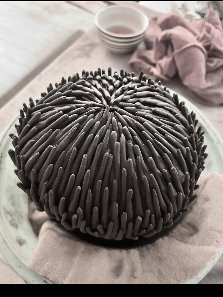 Ceramic University Of Ottawa bStudio Dreams Flourish by Chanfacesaround