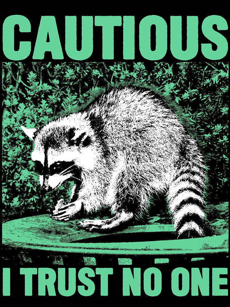 Cautious Raccoon by VintageMedatsu