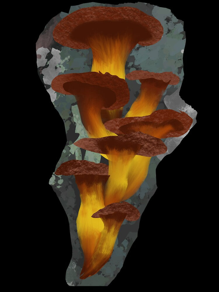 Climbing Mushrooms by NovaCreate13