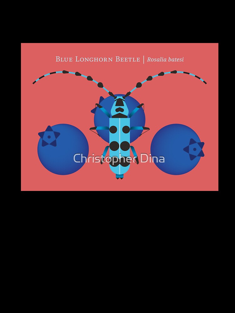 Nature: Blue Longhorn Beetle by Christopher Dina