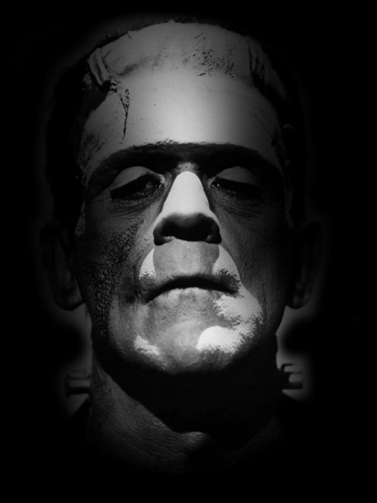 Frankenstein Monster Boris Karloff Face| Perfect Gift|Frankenstein by shvettue