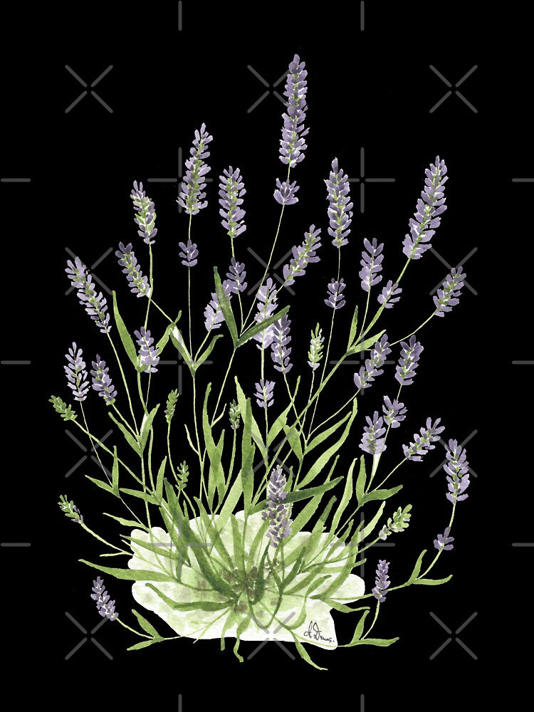 Lavender by PetitMartin