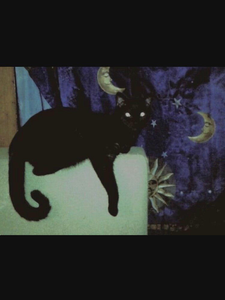 Black cat 90's celestial whimsygoth by BrontesWhimsyStore