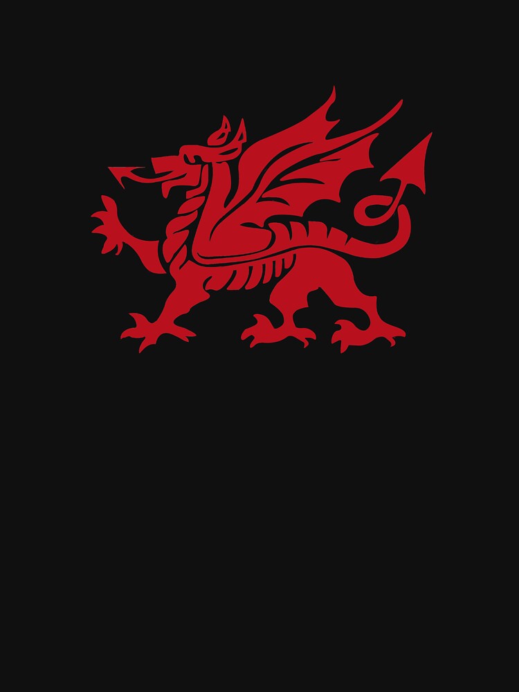 Y Ddraig Goch, Welsh Dragon Large by AHMTheBeesTees