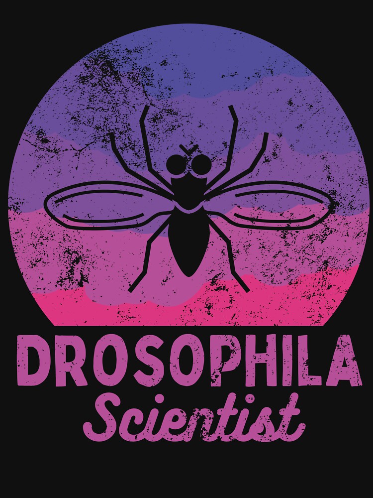 Drosophila, fruit fly scientist, biology, vintage by TheCellDesigns