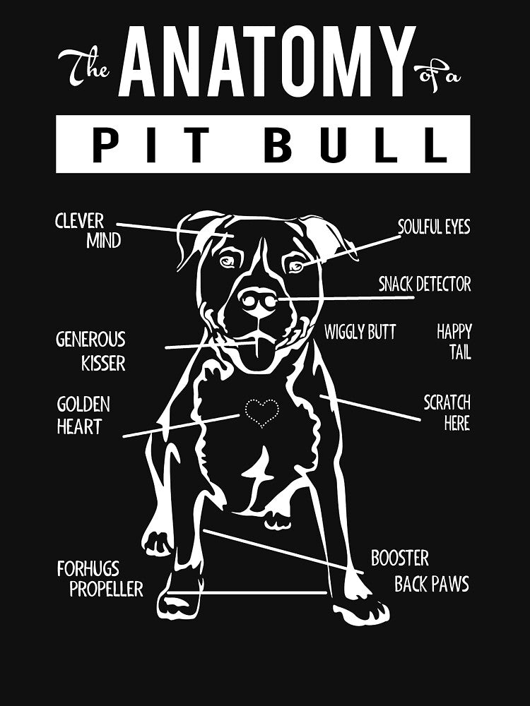 Anatomy Of A Pitbull American Pitbull Dog Lover by Kaysmith233