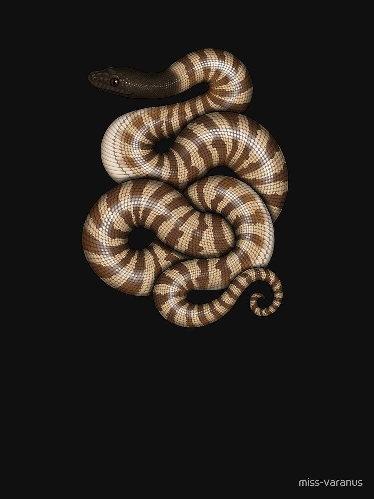 Black-headed Python by miss-varanus