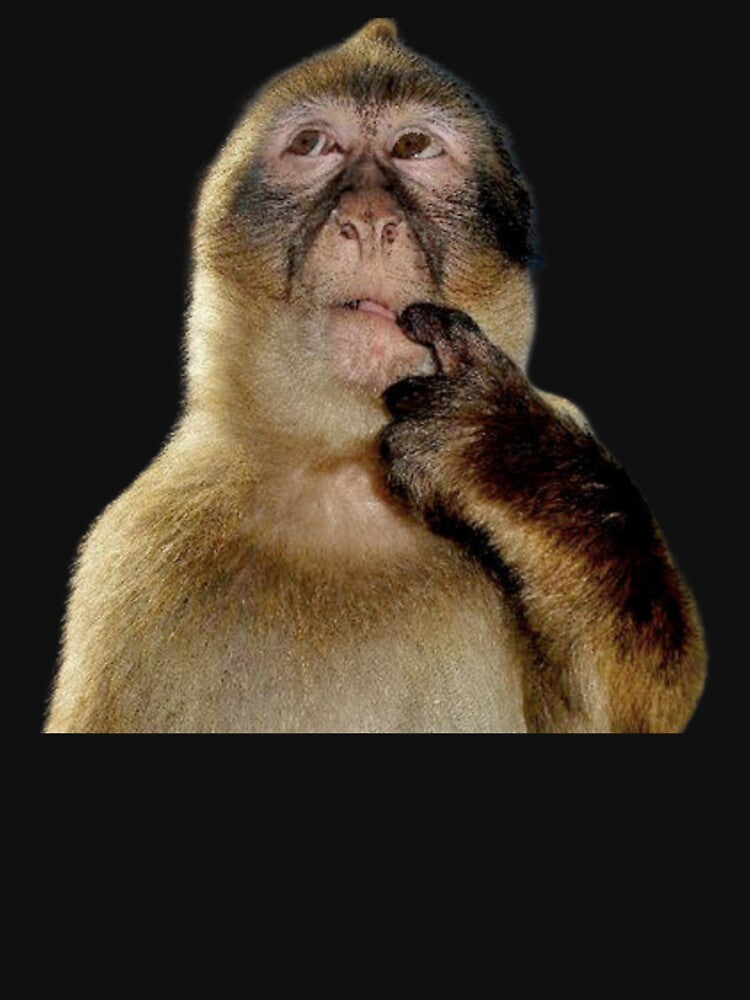 Funny Monkey Thinking Meme by klaro45
