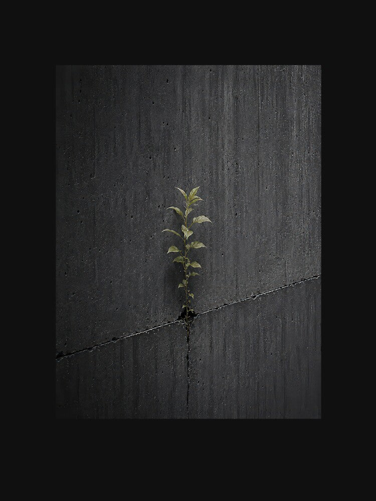 Nature Always Returns Brutalist Concrete Wall by Saint Arts Studio