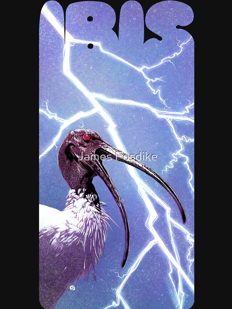Ibis by James Fosdike