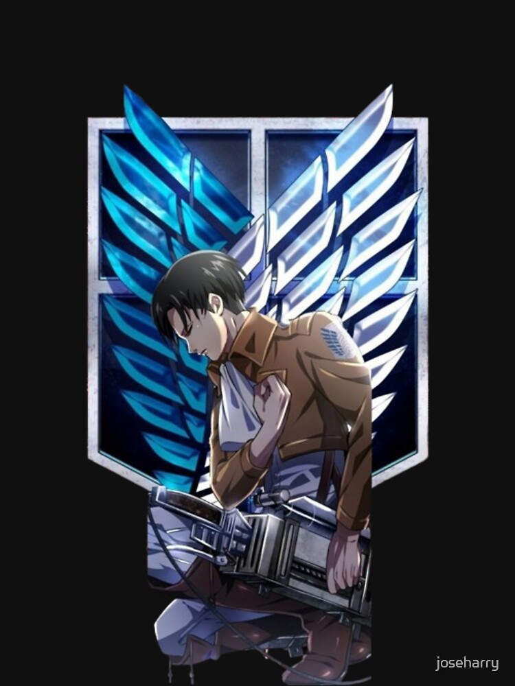 Levi Ackerman - Reflection and Determination by joseharry