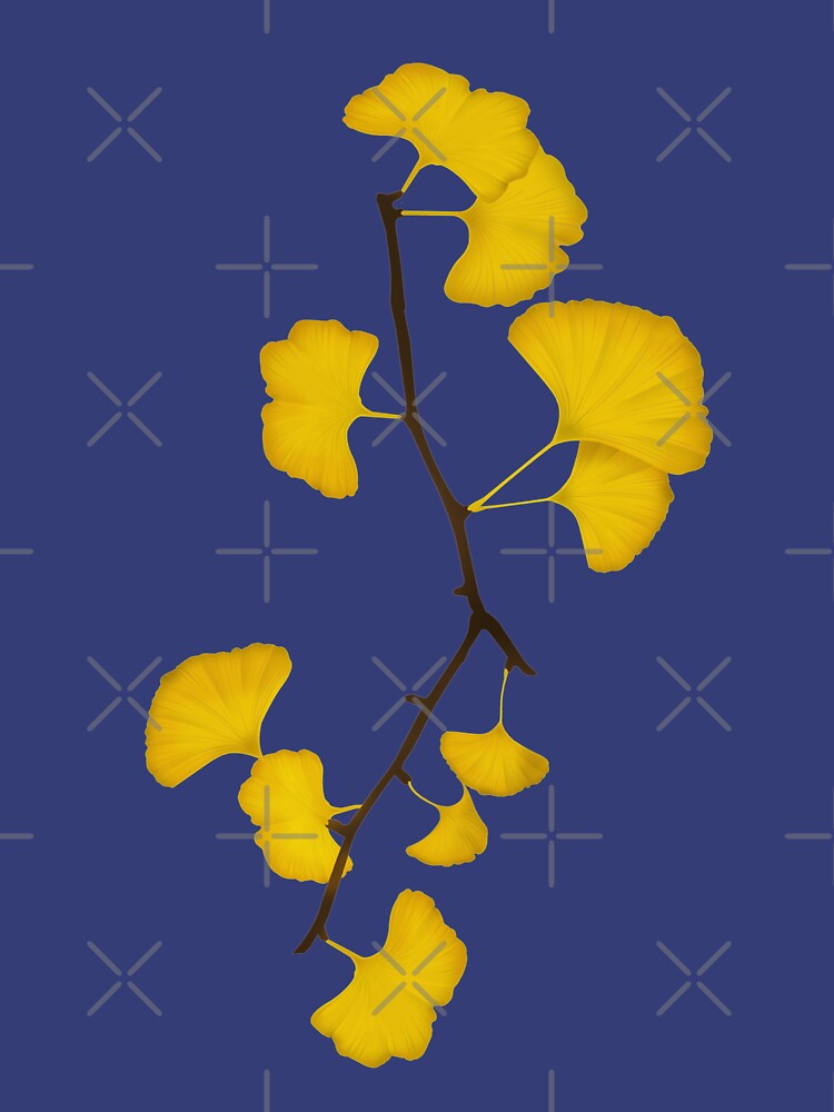 O Ginkgo Summer Flowers Cool Berries Of Gingko Flowers in Spring by chetan786