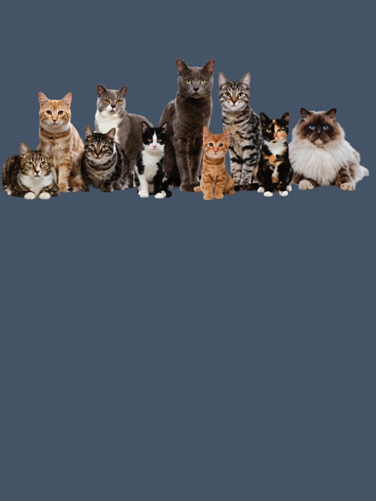 Jade Herrera Cats by Gaea1