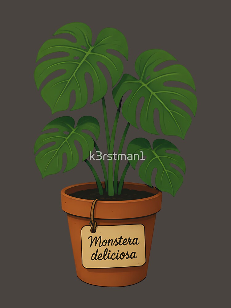 Monstera Deliciosa Potted Tropical Houseplant by k3rstman1