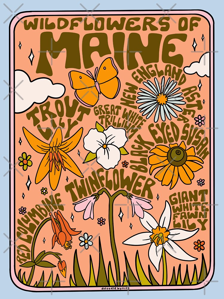 Maine Wildflowers by doodlebymeg