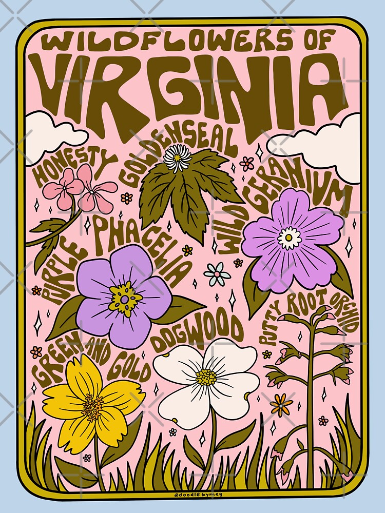 Virginia Wildflowers by doodlebymeg