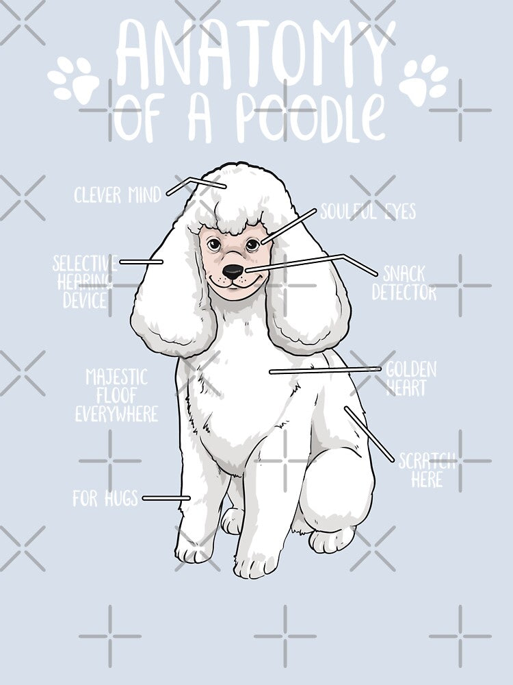 Funny Poodle Anatomy Dog Owner Dog Lover by lanynx design