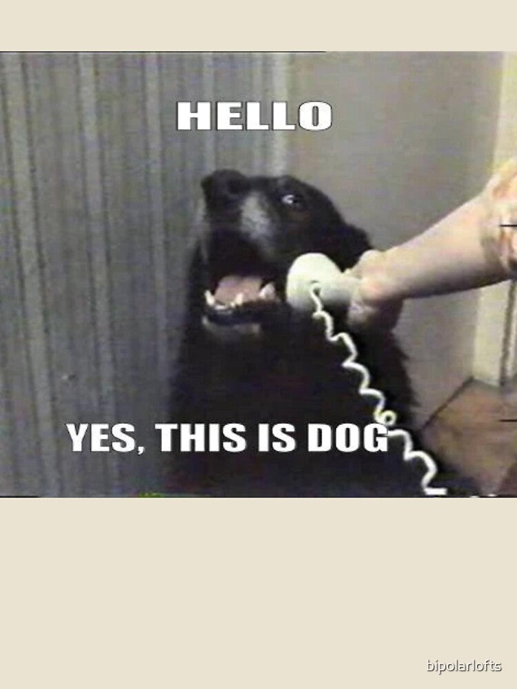 Hello. Yes, this is dog. by bipolarlofts