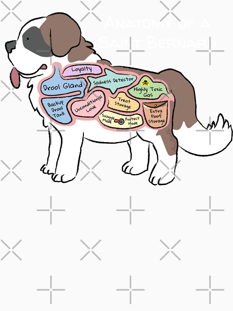 Anatomy of a Saint Bernard - Light Text by PemiDoodle
