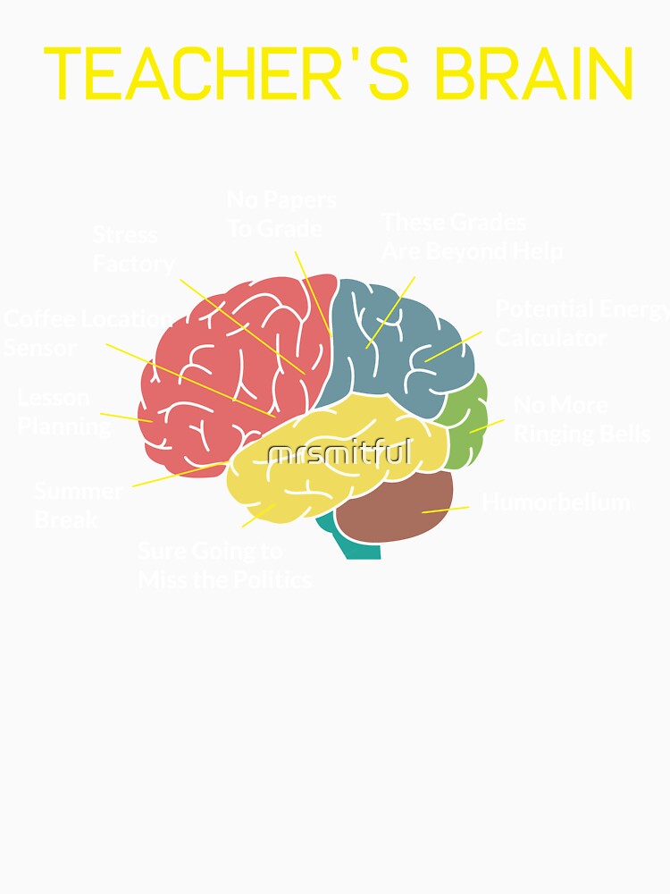 Teacher's Brain Funny 1st 2nd Third 4th Grade Teacher Gifts by mrsmitful