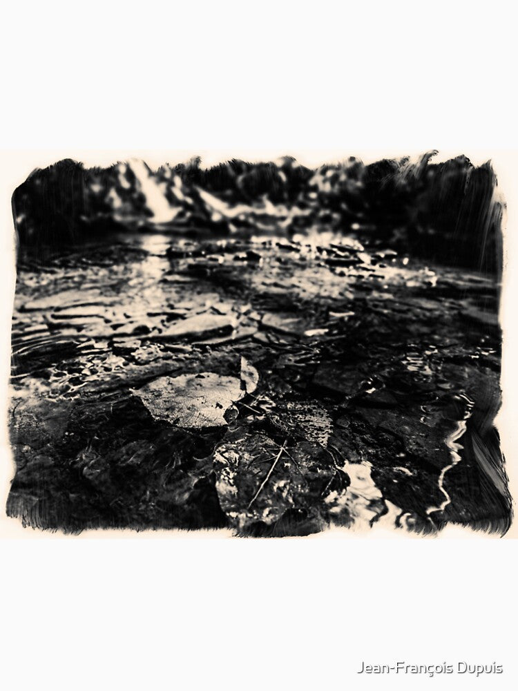 The river by Jean-François Dupuis