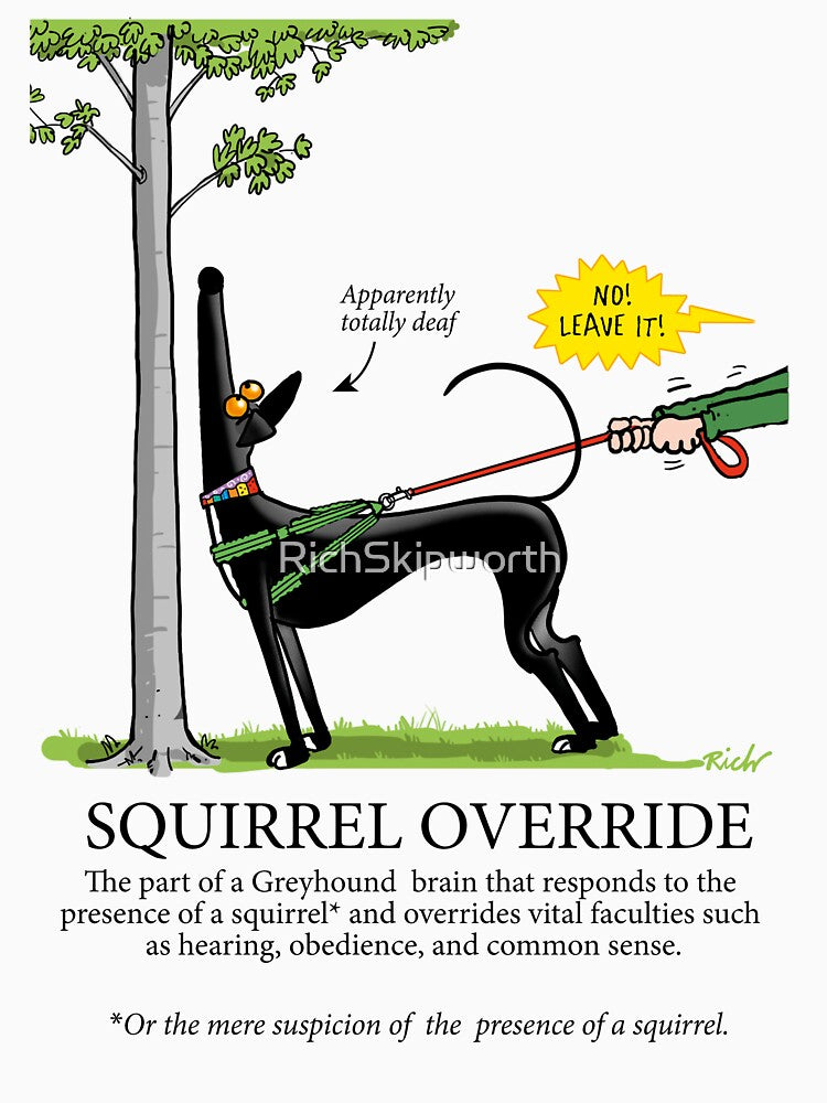 Squirrel Override by RichSkipworth
