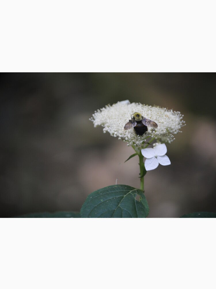 Bee Life by carolines89