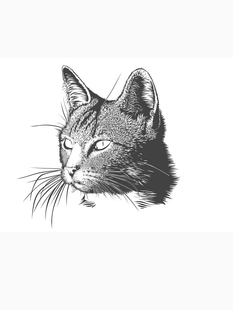 serious looking cat! by dalastore